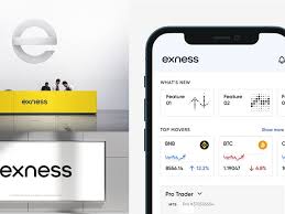 Your Comprehensive Guide to Exness Broker