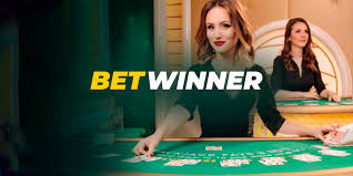 Everything You Need to Know About BetWinner SO 5 Everything You Need to Know About BetWinner SO 5